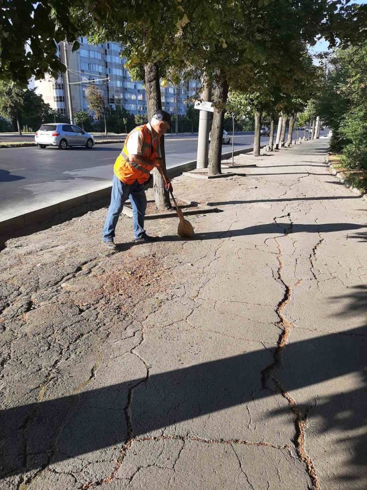 SALUBRIZAREA ZILNICĂ A ORAȘULUI