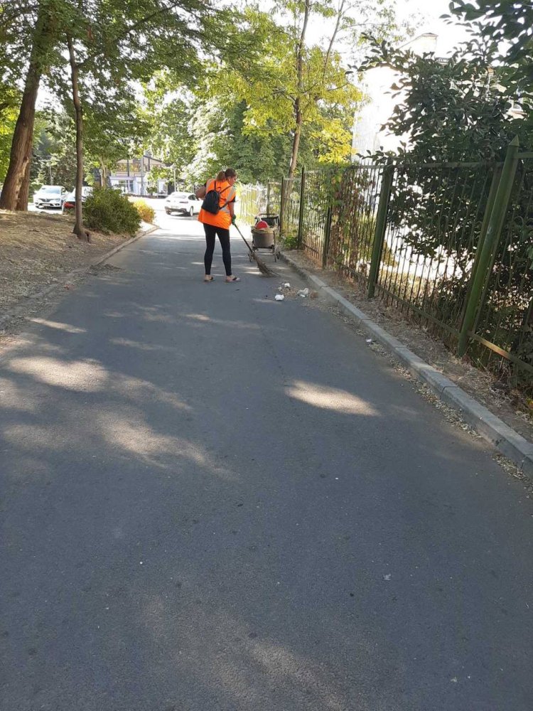 SALUBRIZAREA ZILNICĂ A ORAȘULUI