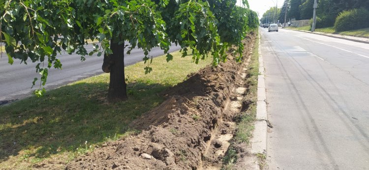 MONTAREA SISTEMULUI AUTOMATIZAT DE IRIGARE PE BULEVARDUL DACIA