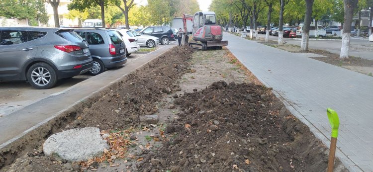 Instalarea sistemului de irigare automatizată pe Strada Mihail Sadoveanu din sectorul Ciocana