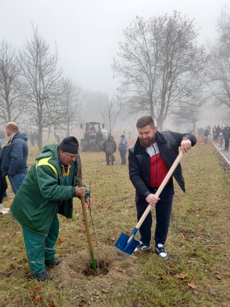 Start Campaniei de plantare a arborilor în orașul Chișinău, ediția 2022