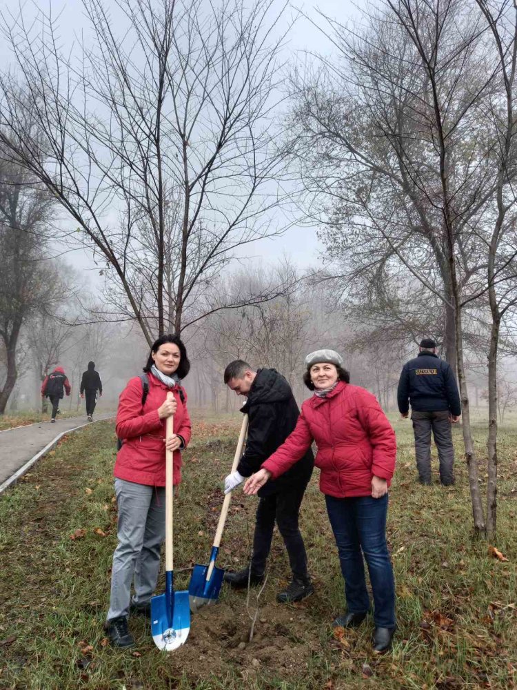 Start Campaniei de plantare a arborilor în orașul Chișinău, ediția 2022