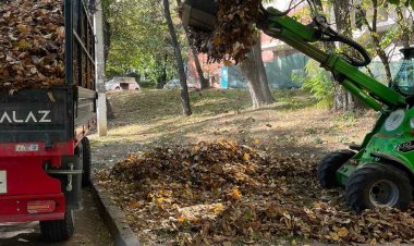 Campania de salubrizare de toamnă în Mun. Chișinău, continuă