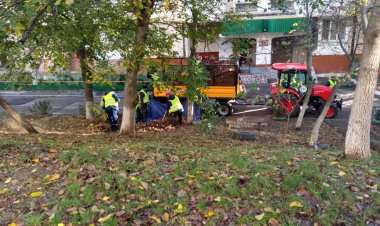 Campania de salubrizare de toamnă, continuă